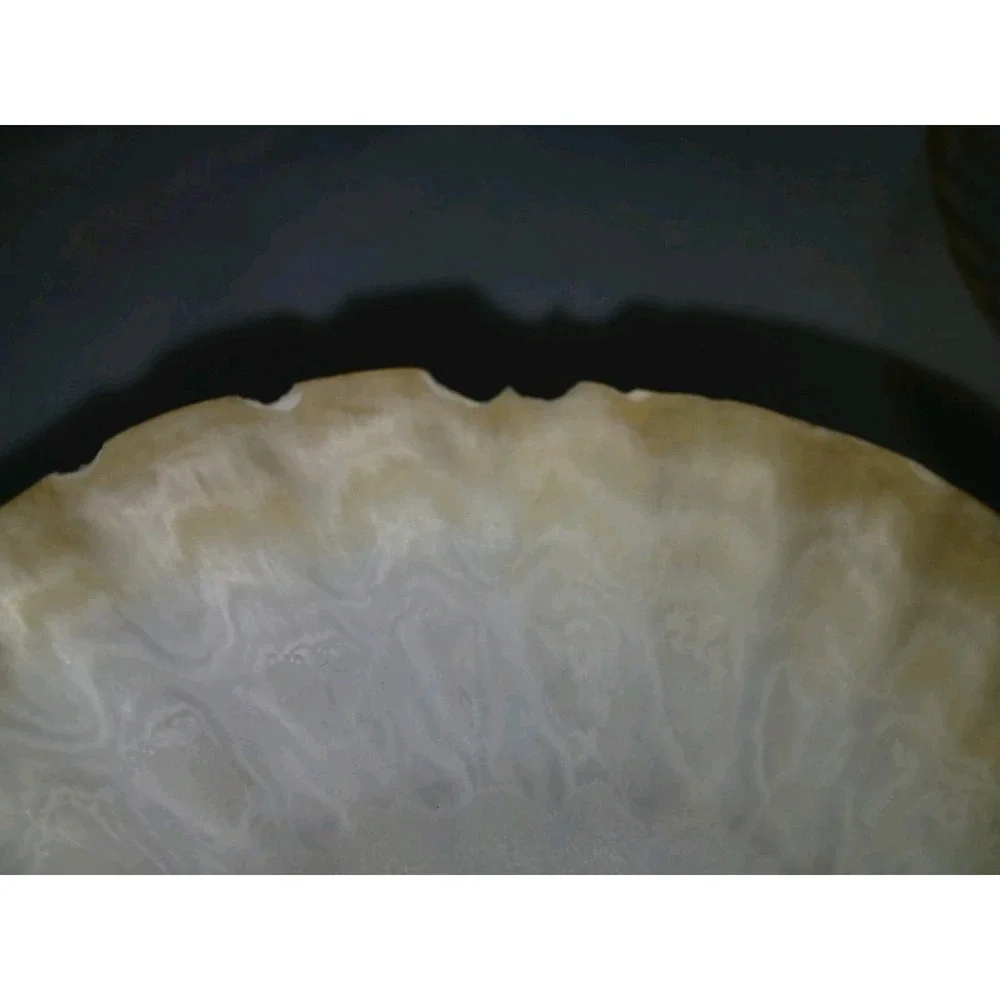 Original Jumbo XL Sea Scallop Shells Lot 2 About 6 Inches Trinkets Crafts Dish
